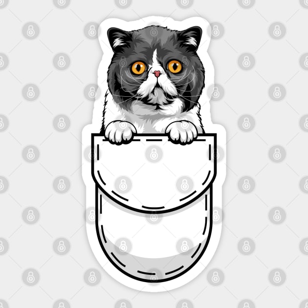 Funny Exotic Shorthair Pocket Cat Sticker by Pet My Dog